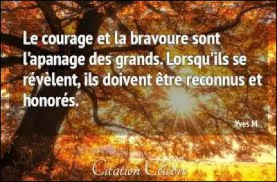 Ton proche est-il brave ?
(Définition : courage, particulièrement dans les combats : Lutter avec bravoure contre un incendie)