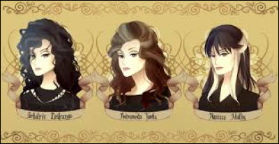 Que sont Narcissa, Bellatrix et Nymphadora ?