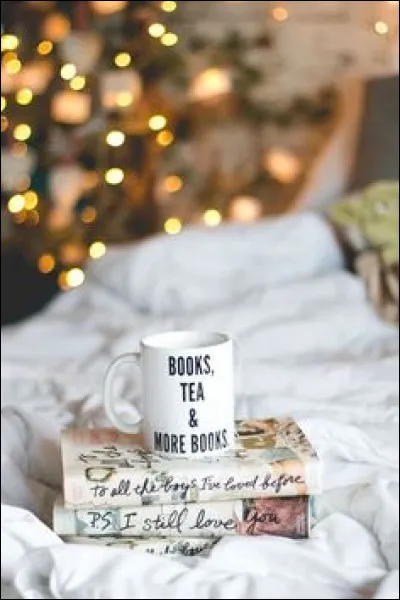 Quel genre d'histoire préfères-tu ?