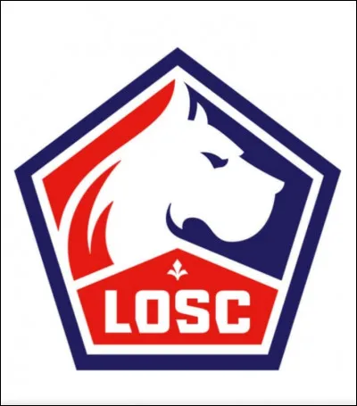 Quel est le plus gros achat du LOSC avant 2021 ?