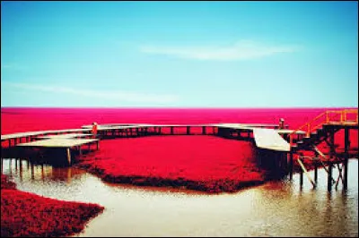 Où se trouve cette mer rouge ?