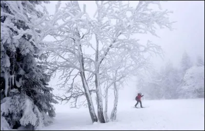 En février 2021, une vague de froid intense venue de Sibérie a balayé l'Europe du Nord. Quel est son nom ?