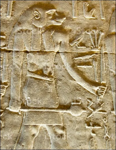 Je suis le dieu babouin. Qui suis-je ?