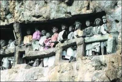 Ces étranges statues torajas s'appellent :