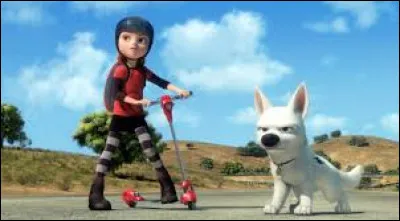 Complétez le titre de ce film d'animation Disney "Volt,...