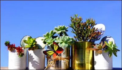 À qui doit-on la citation "Rien ne se perd, rien ne se créé, tout se transforme" ?