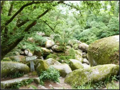 Dans cette région de légendes des colosses de pierre, formés au centre de la Terre, sont remontés dans le cours de la rivière de l'Argent. Dans quelle forêt trouve-t-on ce chaos ?