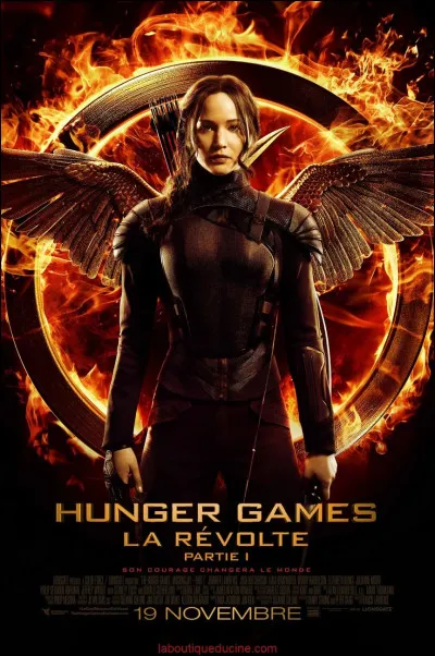 On sort un peu de ''Harry Potter'', voyons plutôt un autre univers : ''Hunger Games'' !
Choisis un personnage.