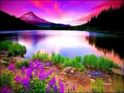 À chaque jour suffit :