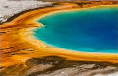 Au royaume des aveugles, les borgnes sont :