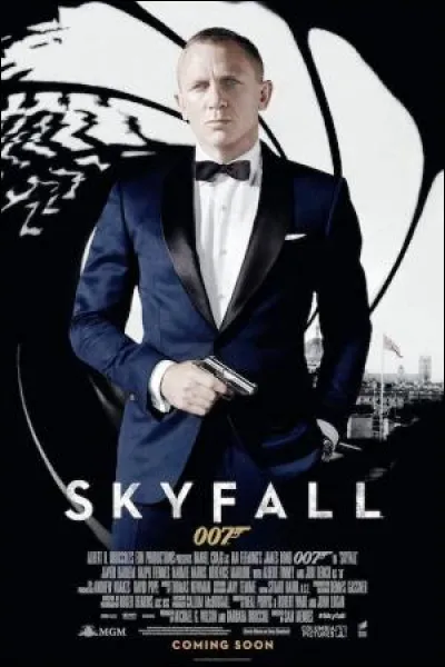 Que désigne le terme Skyfall dans le film du même nom ?