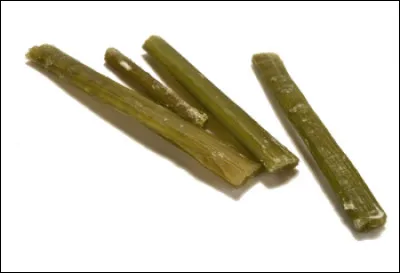 Quelle est cette confiserie à base d'une plante officinale, confite en bâtonnets cannelés, spécialité de Niort ?