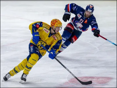 Ho comme Hockey : avec quoi joue-t-on au hockey sur glace ?