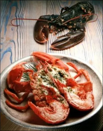 Ho, comme homard : quel est le nom de ces petits homards ?