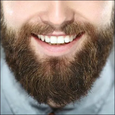 Possèdes-tu une barbe soyeuse ?
