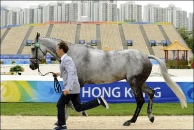 Lequel de ces chevaux n'appartient pas  Nicolas Touzaint ?