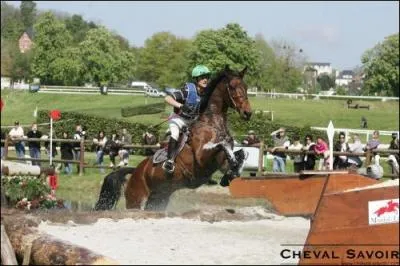 Combien de fois a-t-il t Champion d'Europe ?