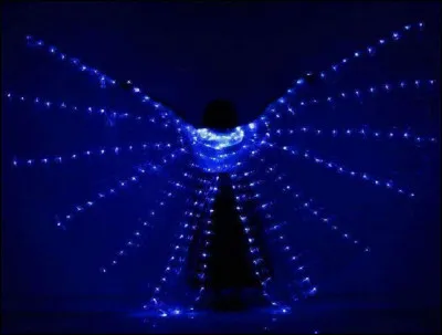 Qui porte un costume dont le nom est ''L'habit de lumières'' ?