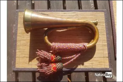 Clair comme clairons : à qui sont les mots "Sonnez, sonnez toujours, clairons de la pensée" extraits de son uvre "Les Châtiments" ?