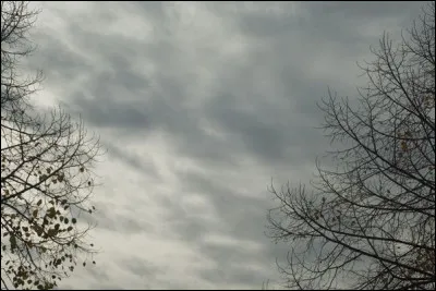 Clair comme gris clair : à quel interprète doit-on la chanson "Entre gris clair et gris foncé" ?