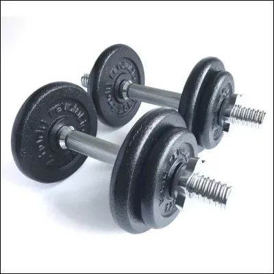 Quelle était la masse à vide de la Willys ?