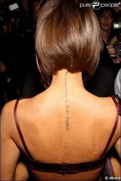 A qui appartient ce dos tatou ?