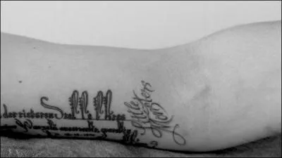 A qui appartient ce bras tatou ?