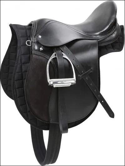 On peut parler de ... classique, amazone, western, et plus encore !