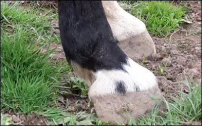 Décidément, l'auteur ne pense qu'aux bombes... mais vous vous trompez, c'est un/une :