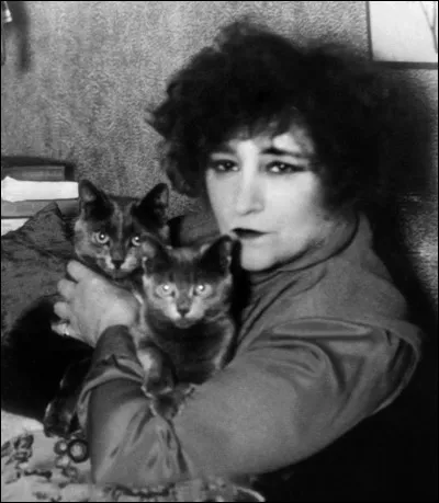 Quelle oeuvre n'est pas de la plume de Colette ?