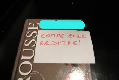 Dans ce cas-là, pas facile de/d'ap-prendre langue !