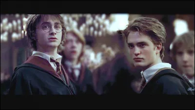 Quel garçon préfères-tu ? (parmi les principaux)