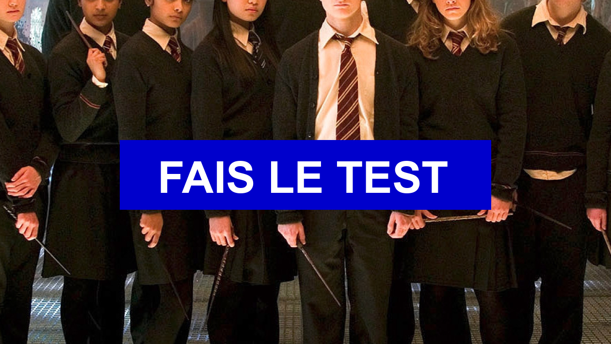 Quelle Serait Ta Vie Dans Harry Potter Test de personnalité Quelle serait ta vie dans Harry Potter ? (Fille)