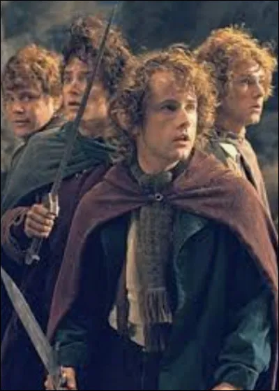 Comment s'appellent les amis Hobbit de Frodon ?