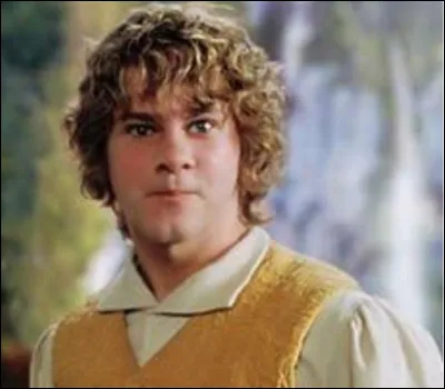 De quel roi Merry est-il au service ?