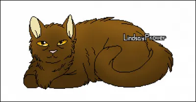 Tu es enfin apprenti et tu te nommes Nuage de Saule mais ton mentor, Griffe d'Argent, te dit que pour ta 1ère tâche tu devras nettoyer la tanière des anciens. Comment réagis-tu ?