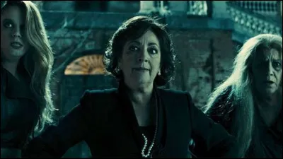 Ils ont braqué un magasin d'or à Madrid, ils cherchent à passer en France pour échapper à la police et s'arrêtent dans un petit village où vivent des sorcières pas vraiment sympathiques !