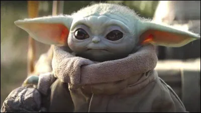Dans quel film y a-t-il Yoda ?
