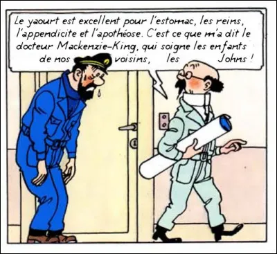 L'absurde : un domaine qui est le lot quotidien de notre cher Tournesol, même s'il n'en n'est, lui, que rarement conscient.