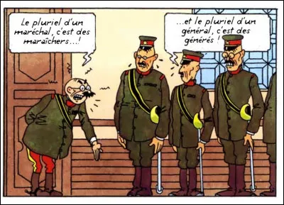 Revenons à la réalité et aux choses sérieuses : des militaires du "Lotus Bleu" se mettent en scène pour énoncer ce principe grave, mais qui en est l'auteur ?