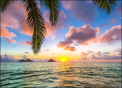 Ha comme Hawaï : où se trouve cet archipel ?