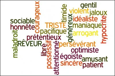 Quel est ton pire défaut ?