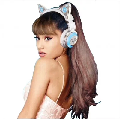 Si tu vivais en Amérique, pour qui aurais-tu voter aux élections présidentielles de 2020 ?