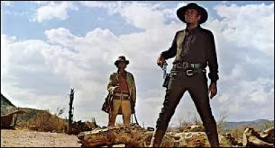 Qui a réalisé le film "Il était une fois dans l'Ouest" ?