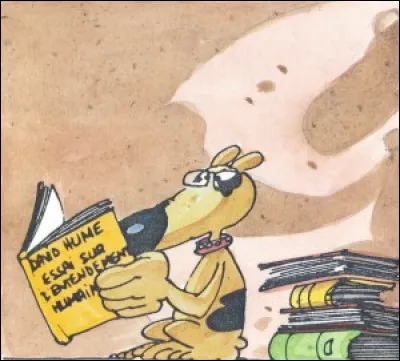 Quelle est la personnalité de Kador ?