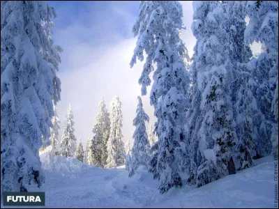 Quelle est la réaction permettant de passer de l'état solide de l'eau, la neige, à l'état de vapeur d'eau ?