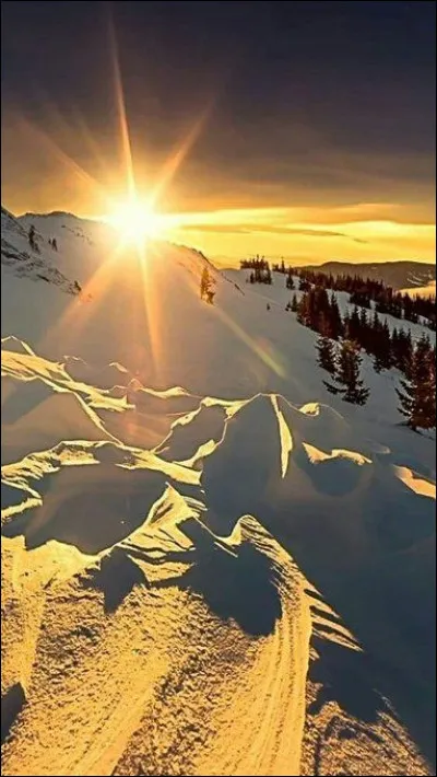 Laquelle de ces princesses Disney a l'habitude de la neige et de la glace ?