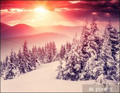 Quel aliment positionne-t-on traditionnellement sur un bonhomme de neige ?