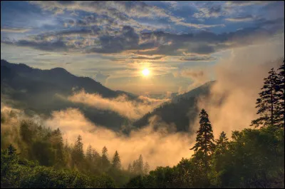 Le dernier,The Great Smoky Mountains National Park, est peu connu hors des États-Unis. Il est pourtant très fréquenté. La nature est somptueuse et l'ours est partout. Il se trouve...