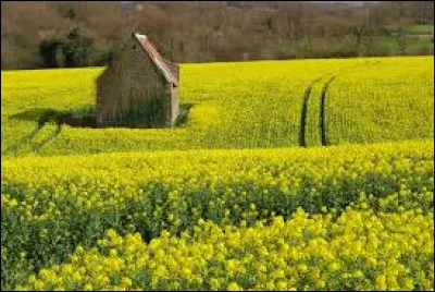 De quel grand peintre Eva Gonzalès fut-elle l'élève ?